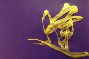 26610841_569062686758956_1966270483_o